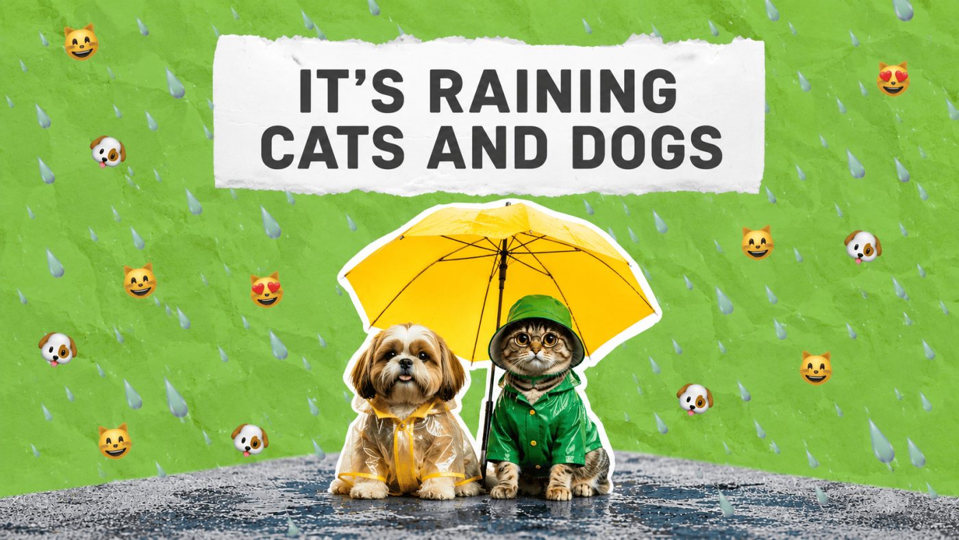 It's raining cats and dogs Английская идиома It's raining cats and dogs (изображение)
