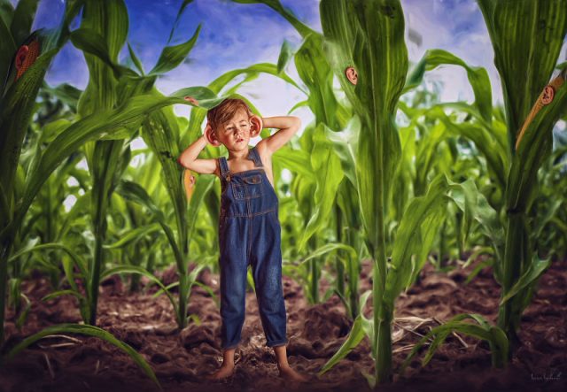 To Be All Ears (бути всіма вухами) – уважно слухати, “нашорошити вуха”, “сама увага”