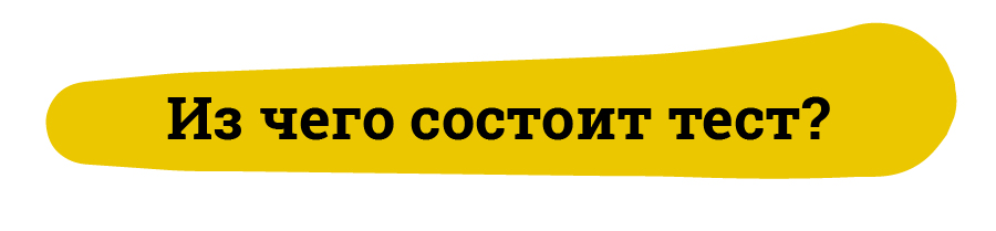 Из чего состоит тест?