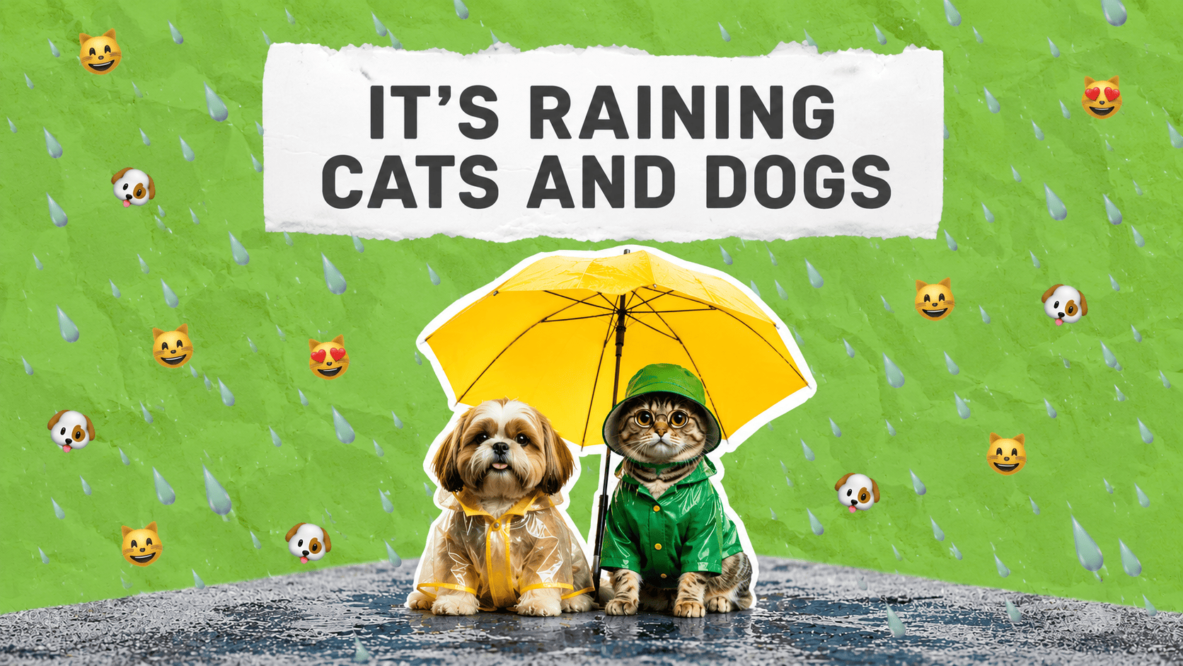 "It's raining cats and dogs" и другие смешные английские идиомы о животных
