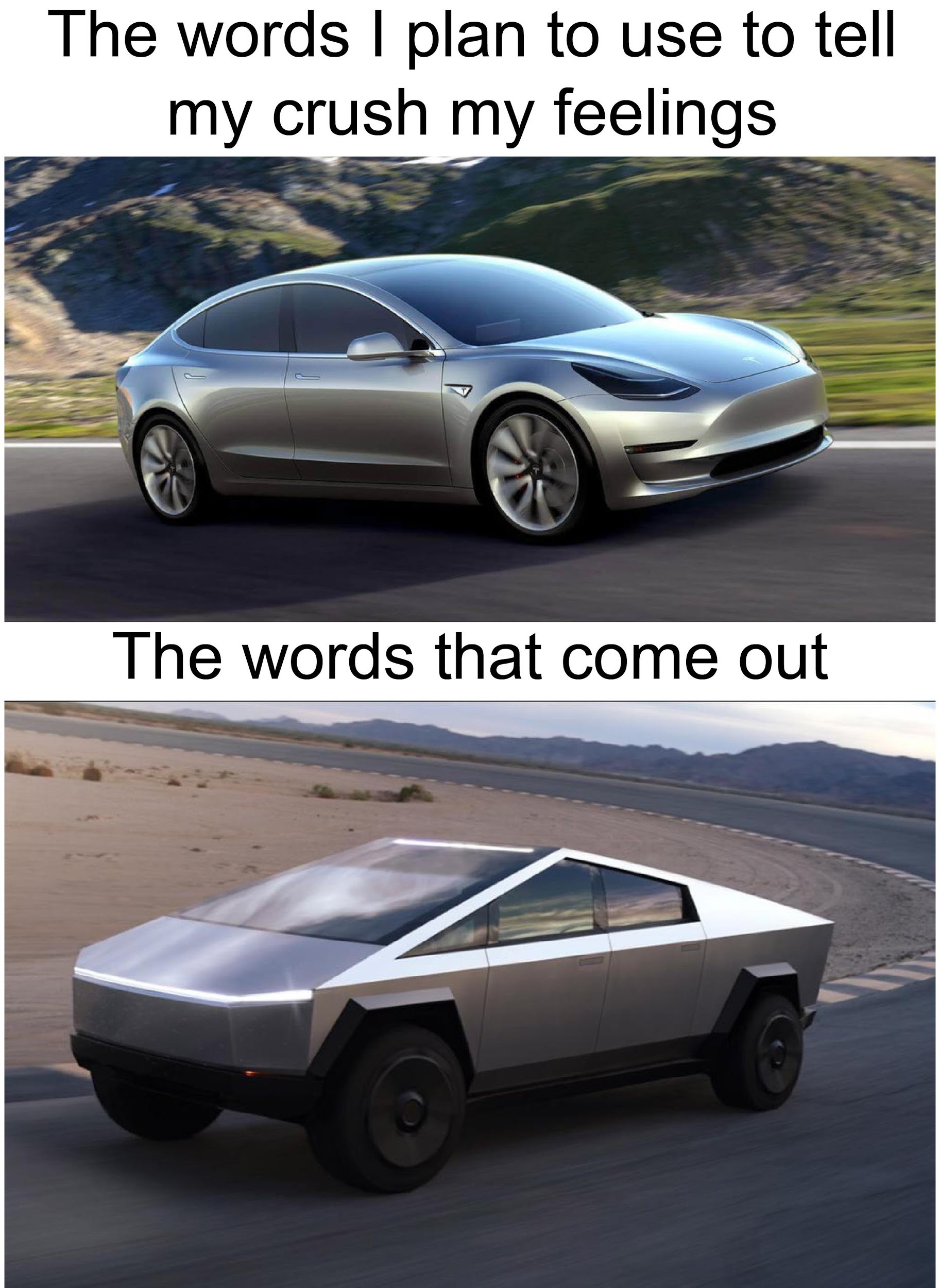 Elon Musk Memes