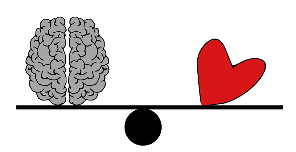 EQ & IQ: що це таке і як його розвивати, 3