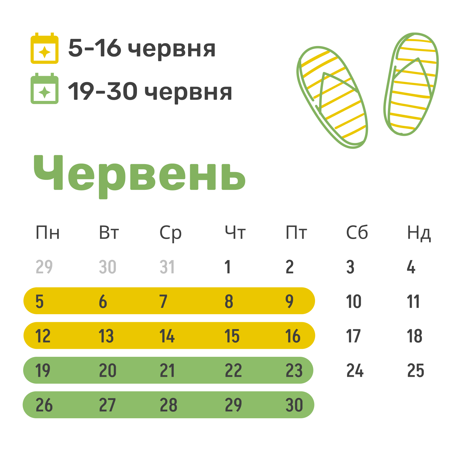 Літній денний табір для дітей у Грін Кантрі, 3