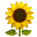 Sunflower Emoji